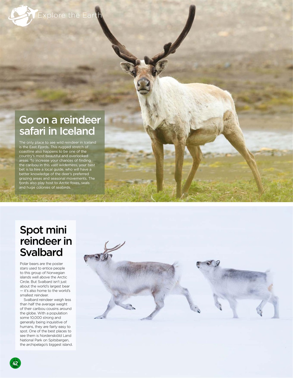 World of Animals Preview Pages