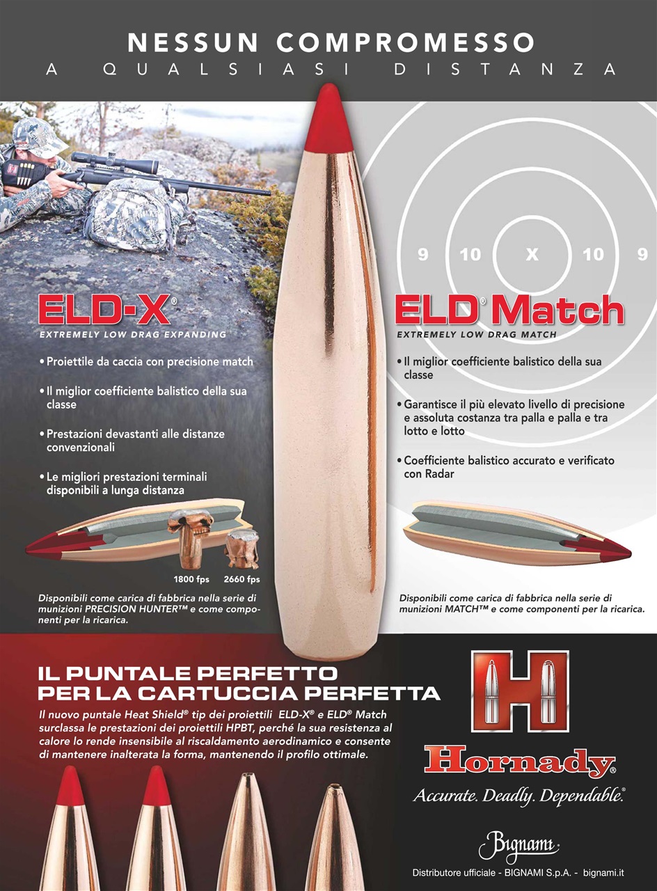 Caccia Magazine Preview Pages