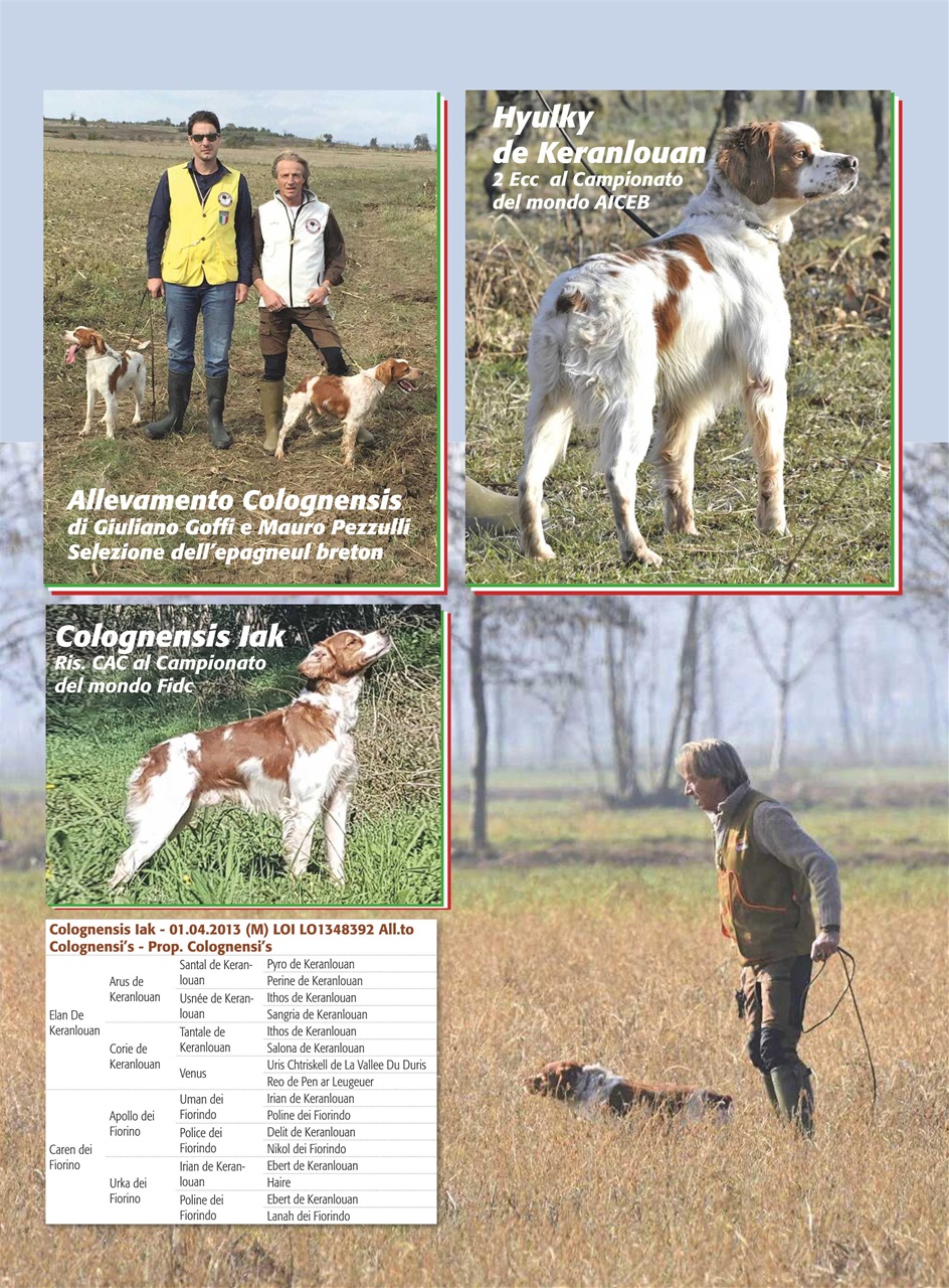 La Gazzetta Della Cinofilia Venatoria Preview Pages