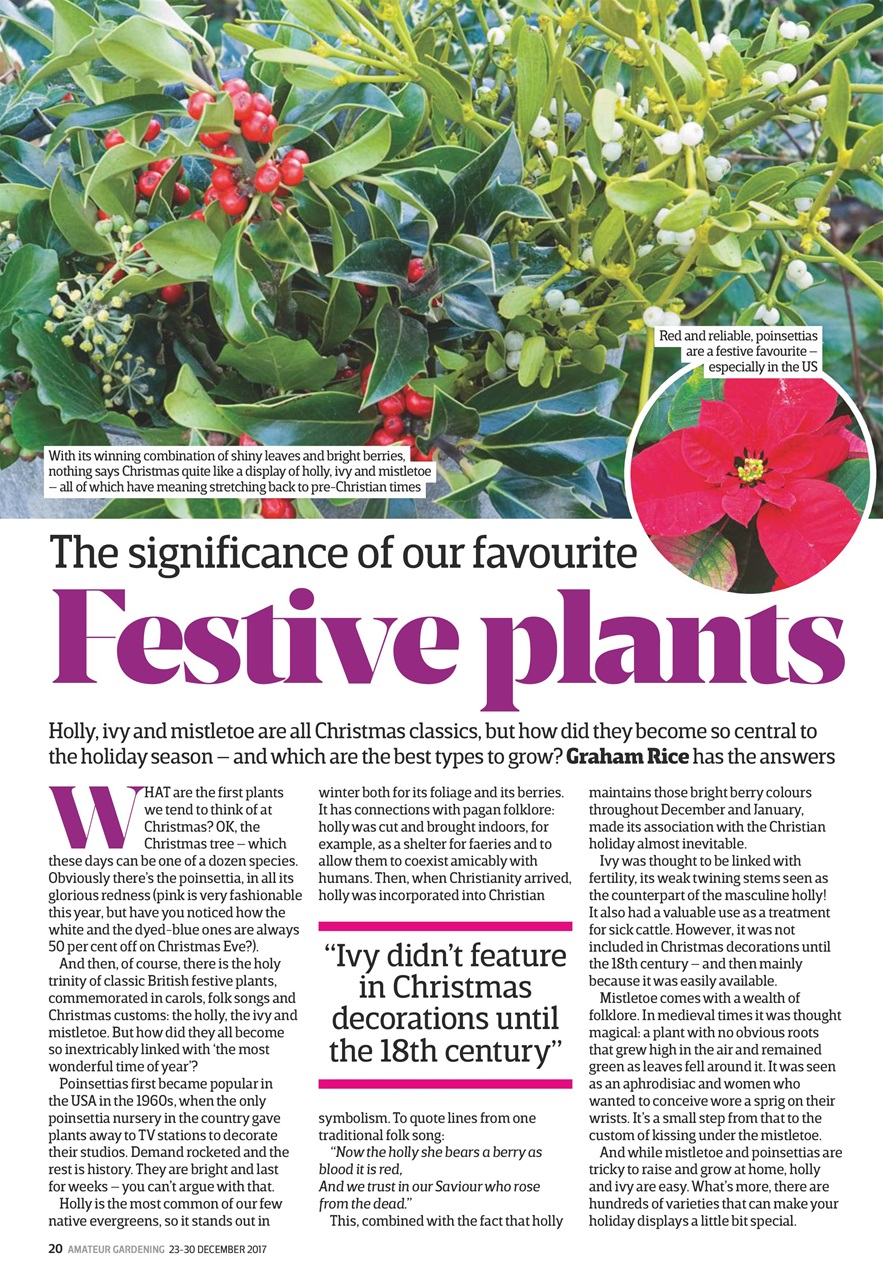 Amateur Gardening Preview Pages