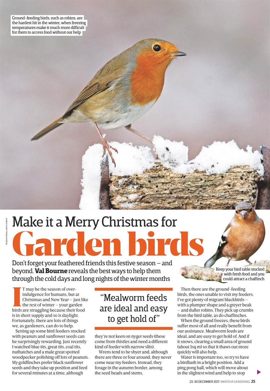 Amateur Gardening Preview Pages