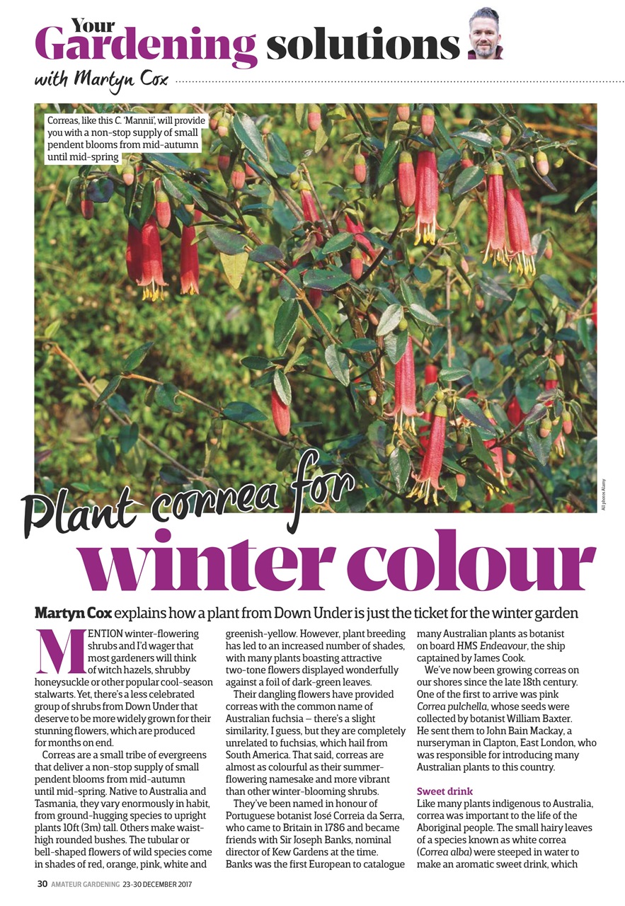 Amateur Gardening Preview Pages