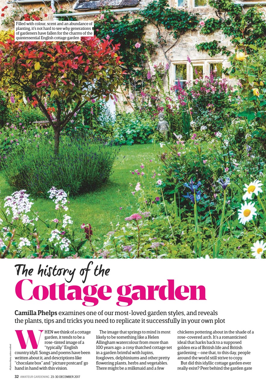 Amateur Gardening Preview Pages