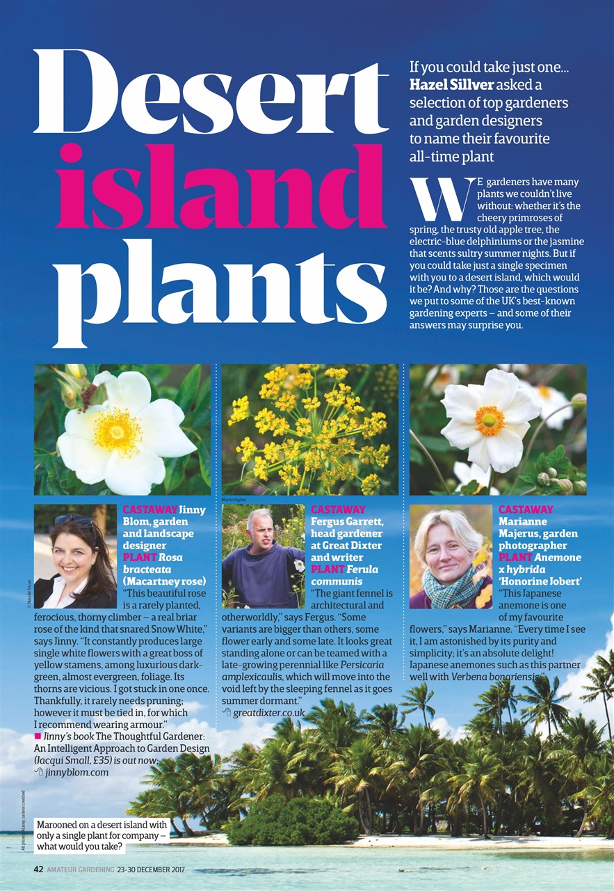 Amateur Gardening Preview Pages