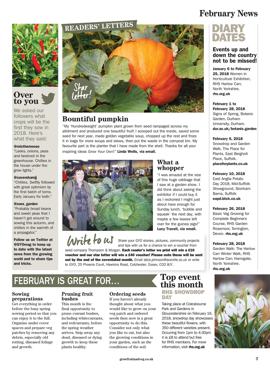 Grow Your Own Preview Pages