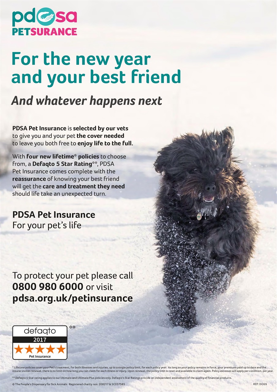 Dogs Monthly Preview Pages