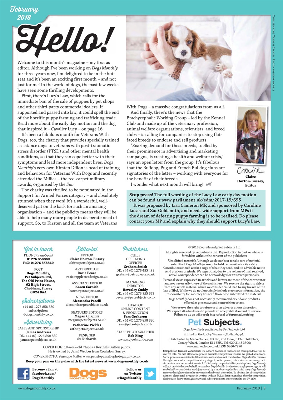 Dogs Monthly Preview Pages