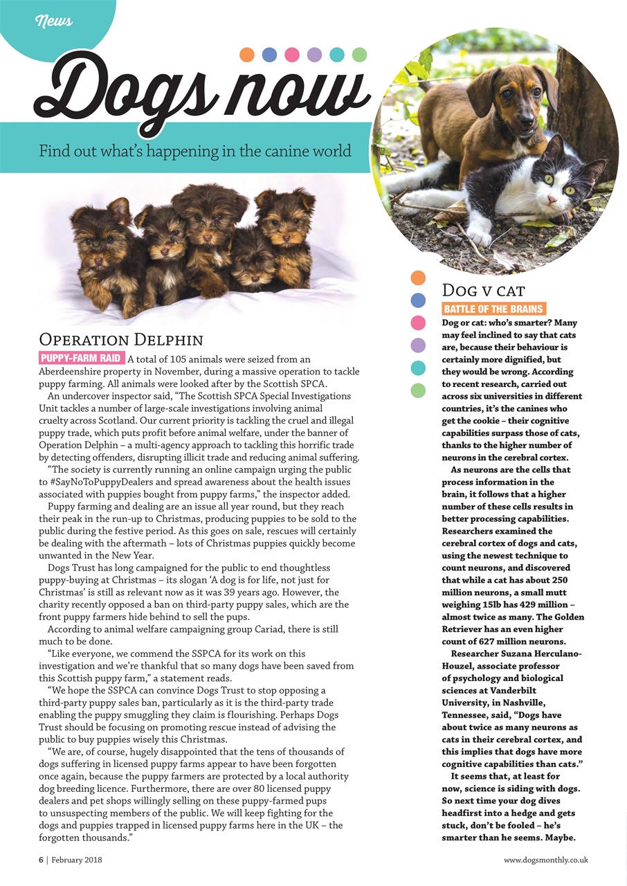 Dogs Monthly Preview Pages