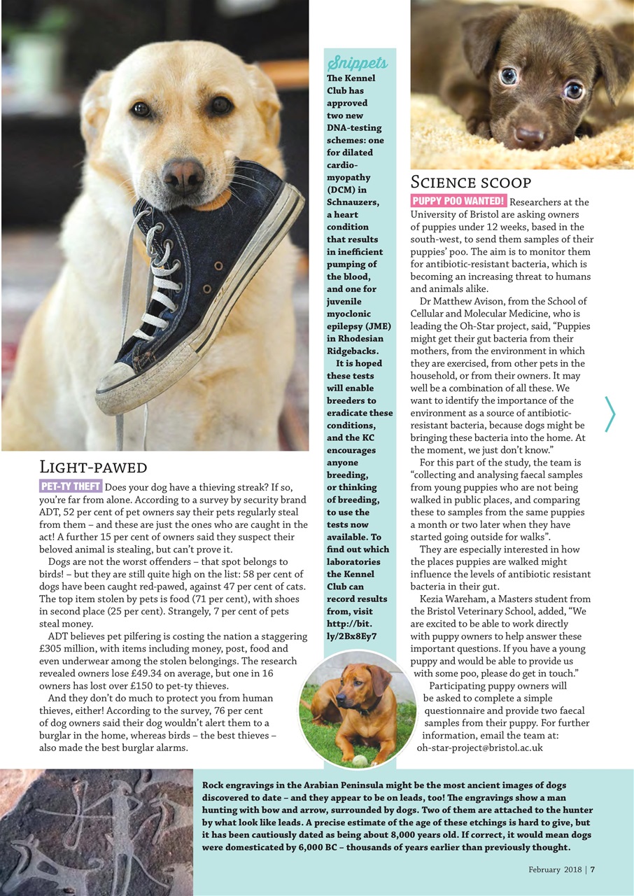 Dogs Monthly Preview Pages