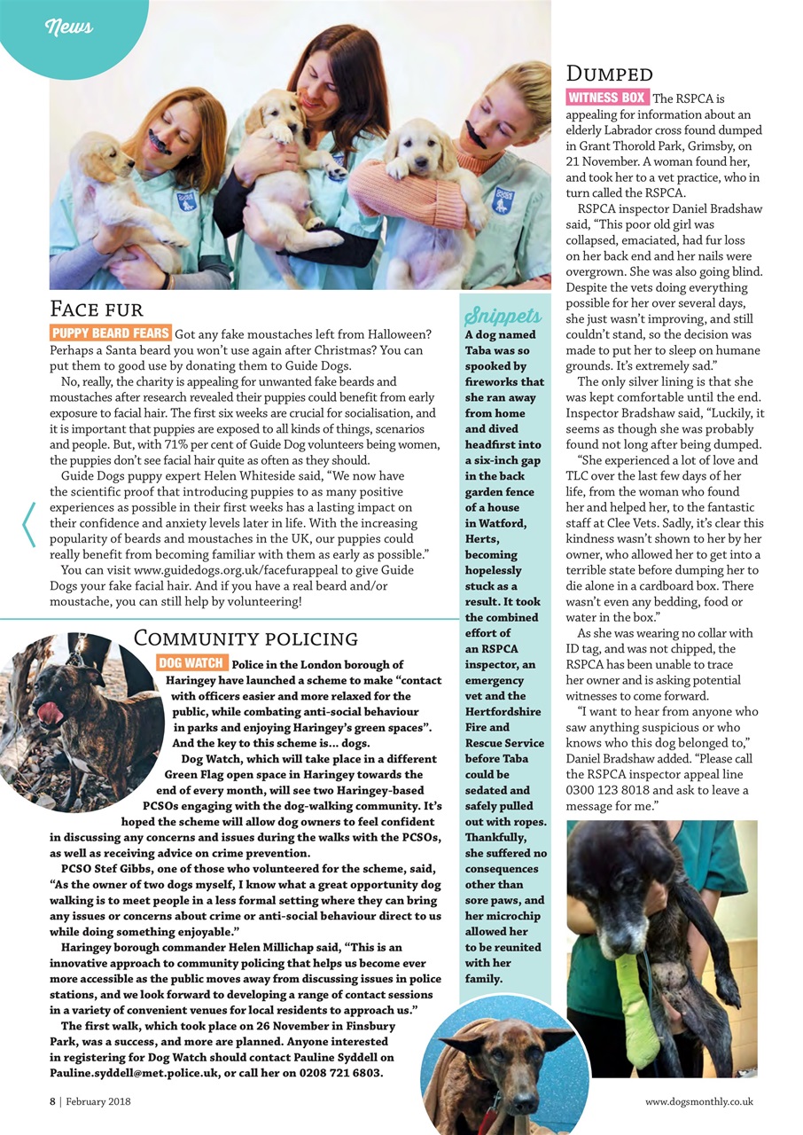 Dogs Monthly Preview Pages