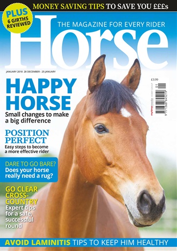 Horse issue 