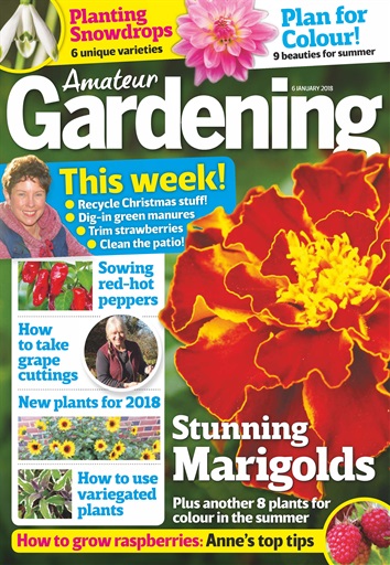 Amateur Gardening issue 