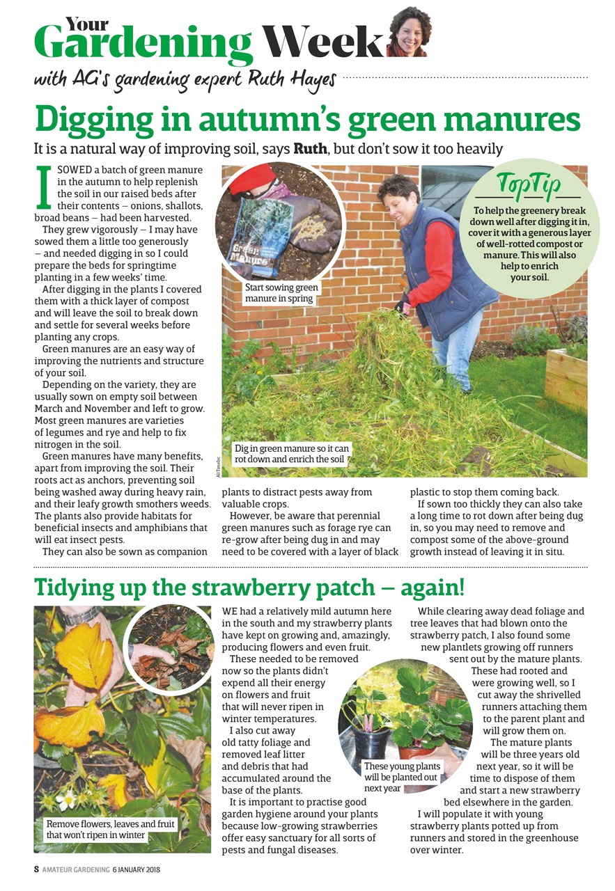 Amateur Gardening Preview Pages