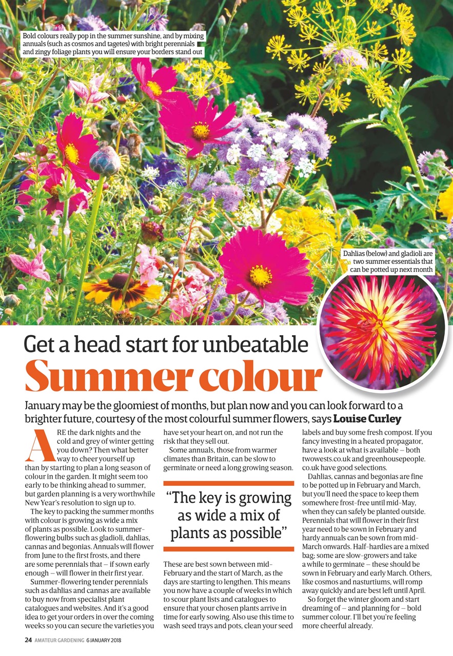 Amateur Gardening Preview Pages