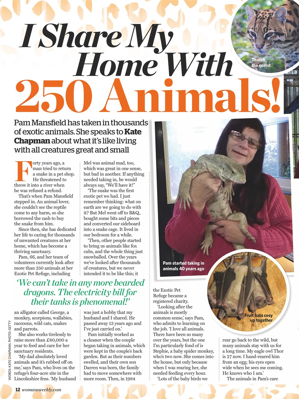 Woman's Weekly Preview Pages