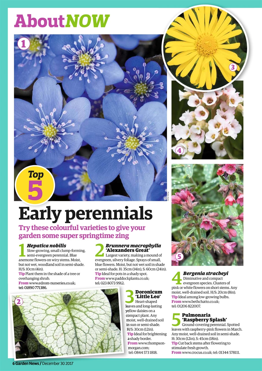 Garden News Preview Pages