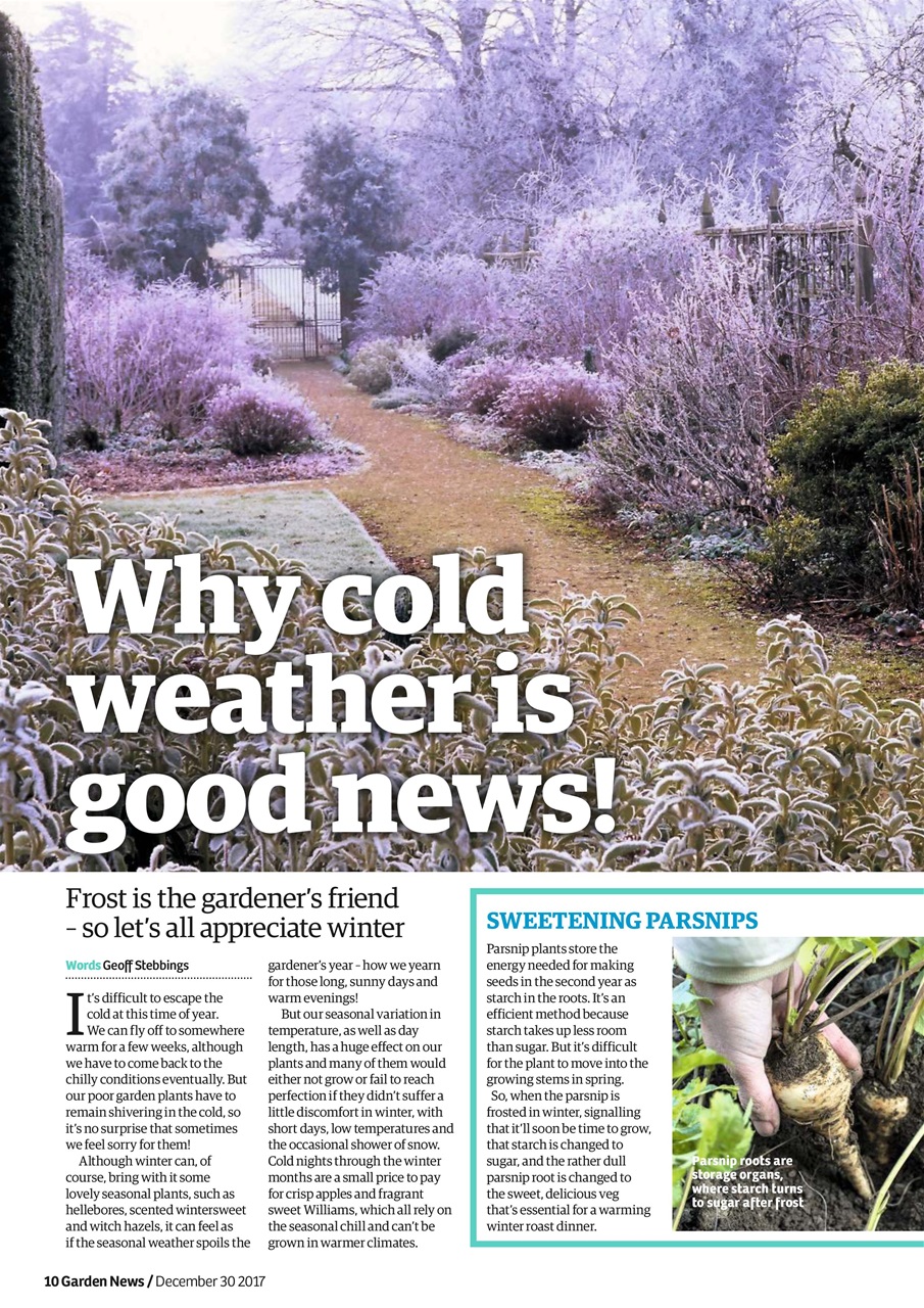 Garden News Preview Pages