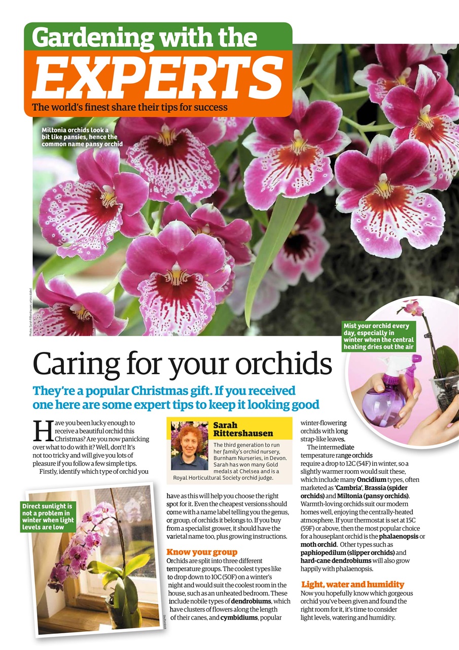 Garden News Preview Pages