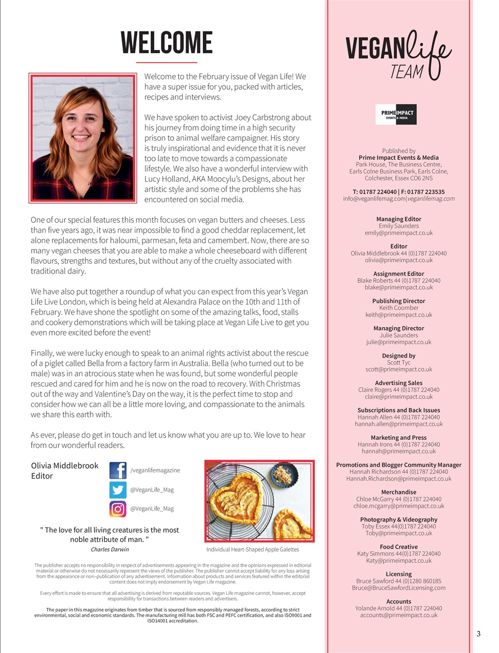 Vegan Life Preview Pages