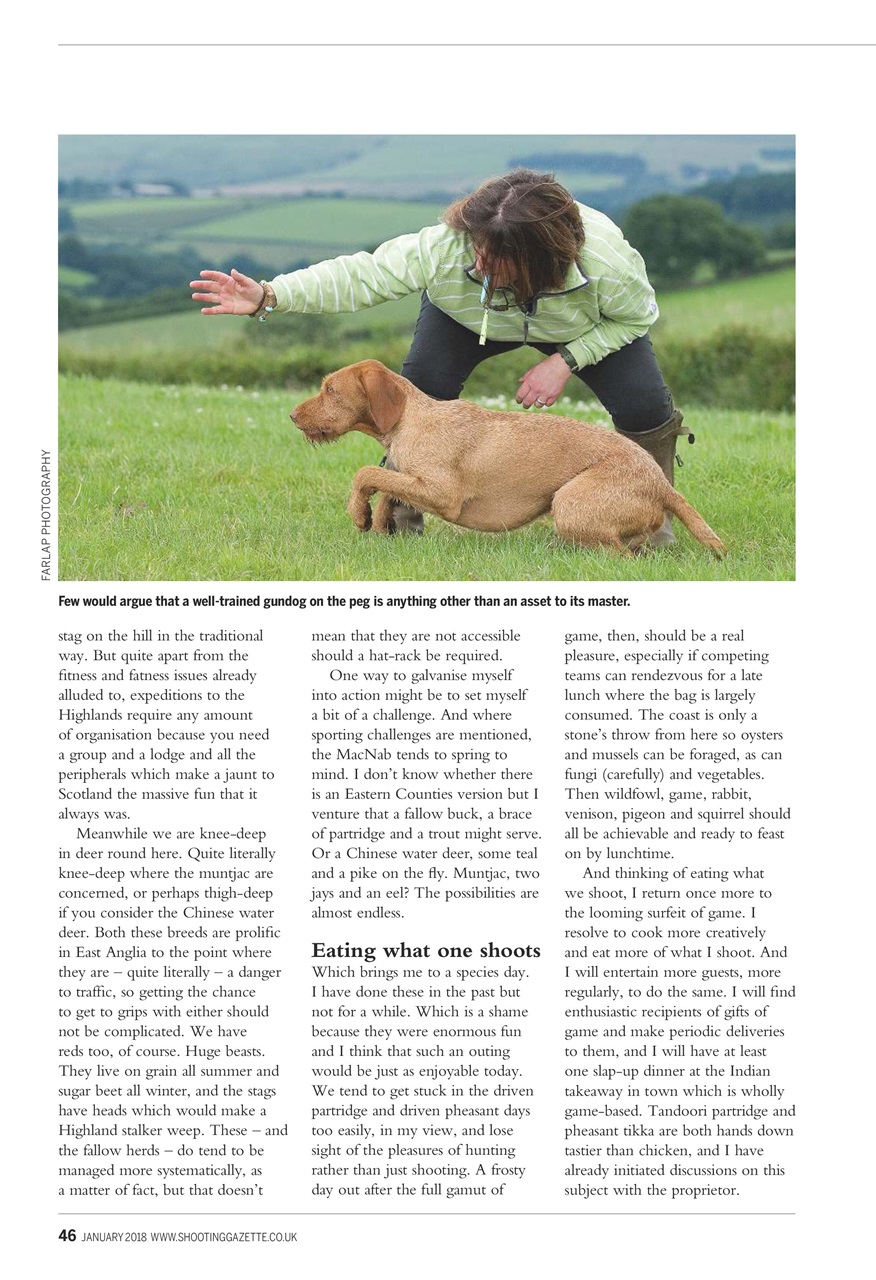Shooting Gazette Preview Pages