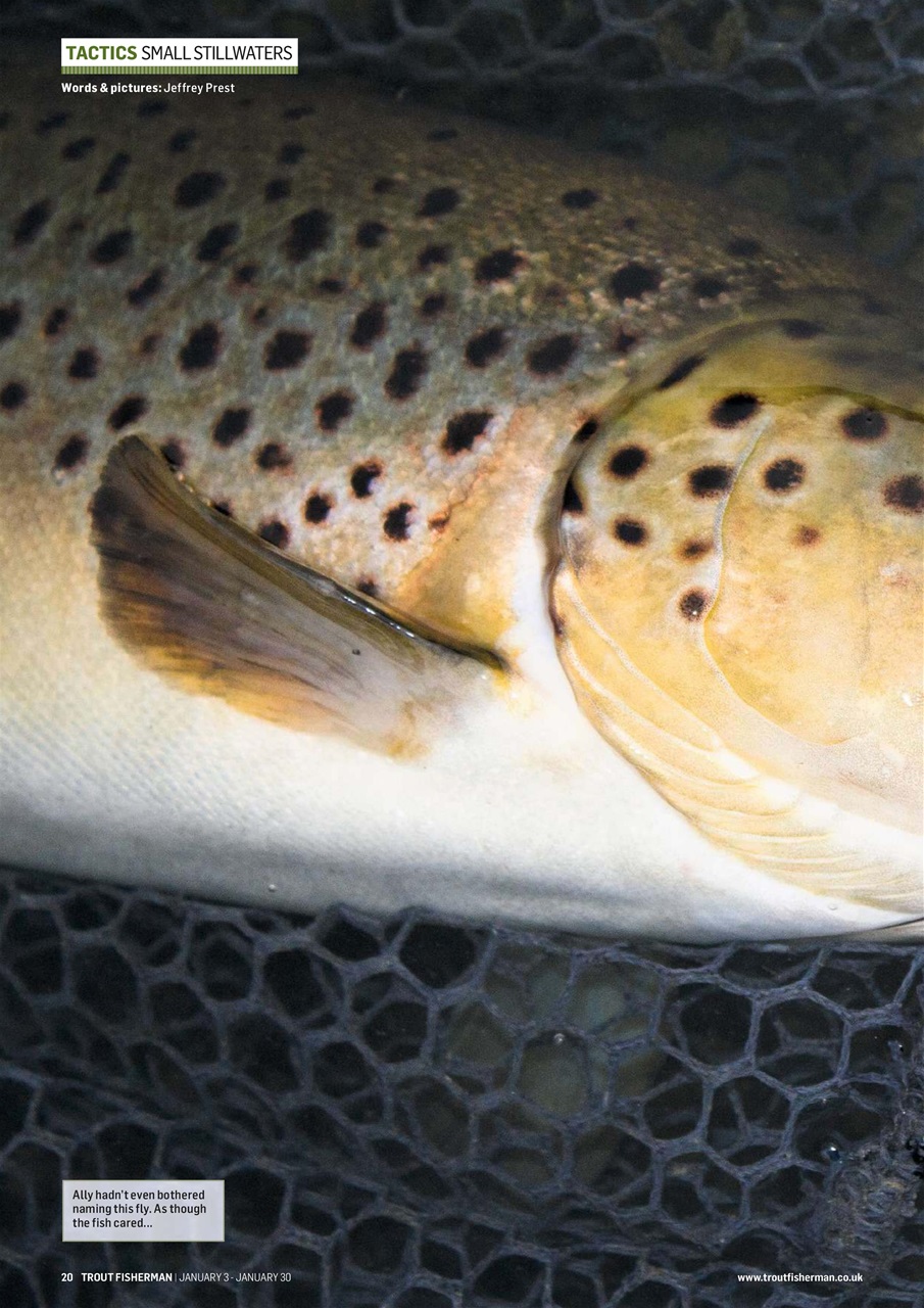 Trout Fisherman Preview Pages