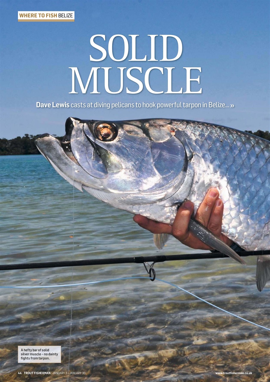 Trout Fisherman Preview Pages