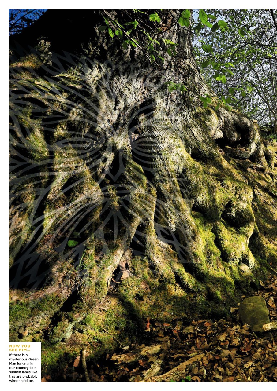 Country Walking Preview Pages