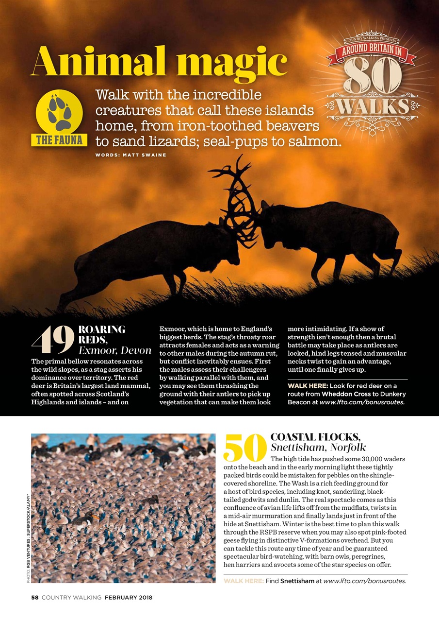 Country Walking Preview Pages