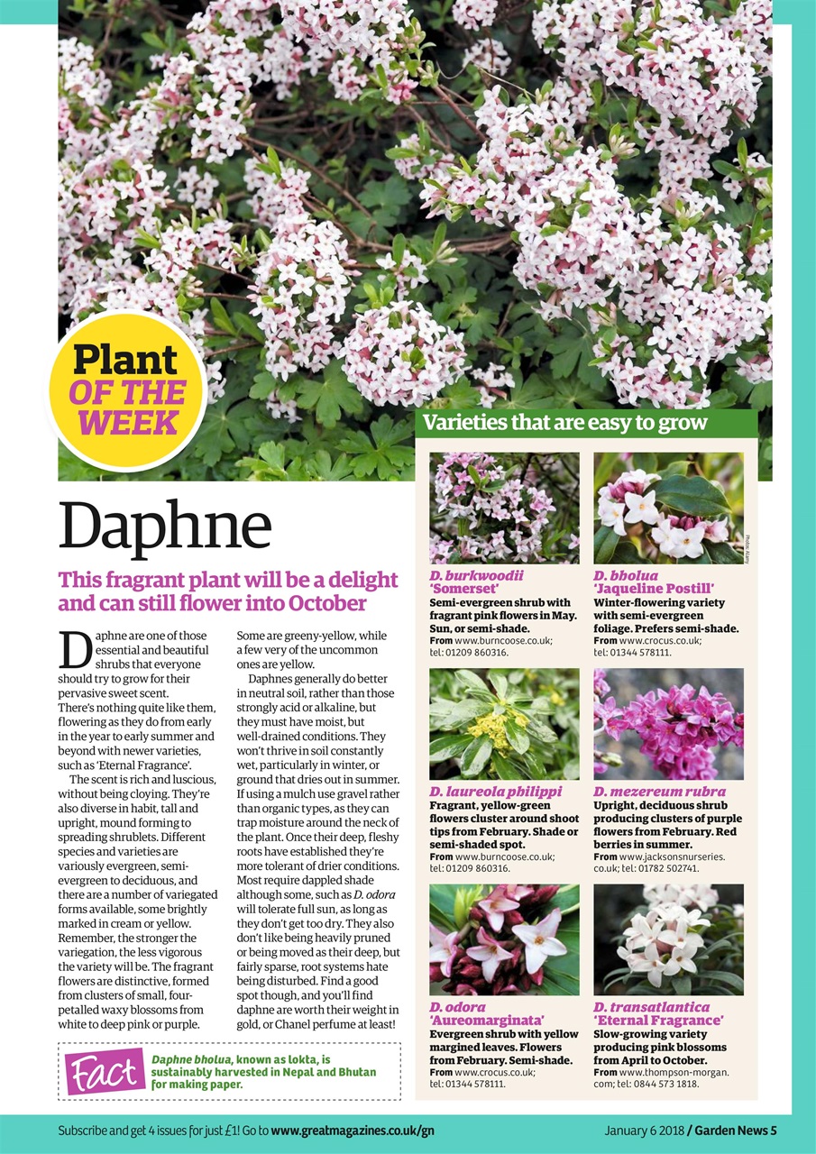 Garden News Preview Pages