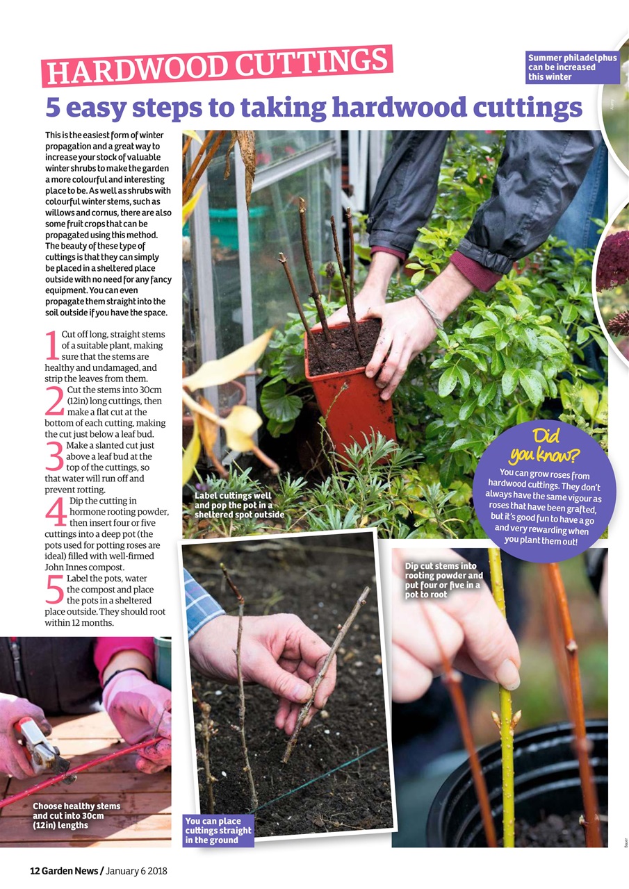 Garden News Preview Pages
