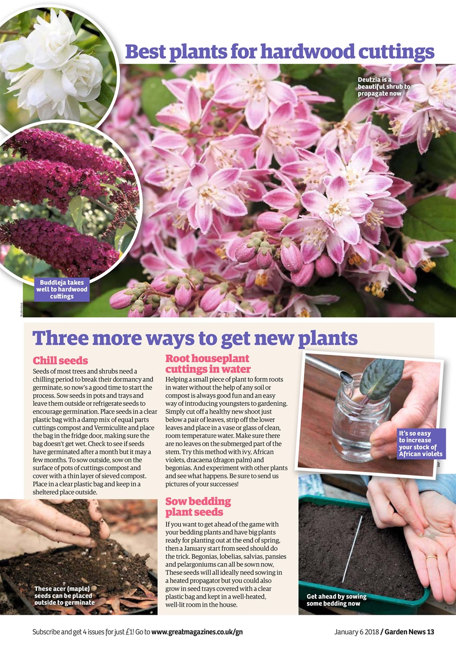 Garden News Preview Pages