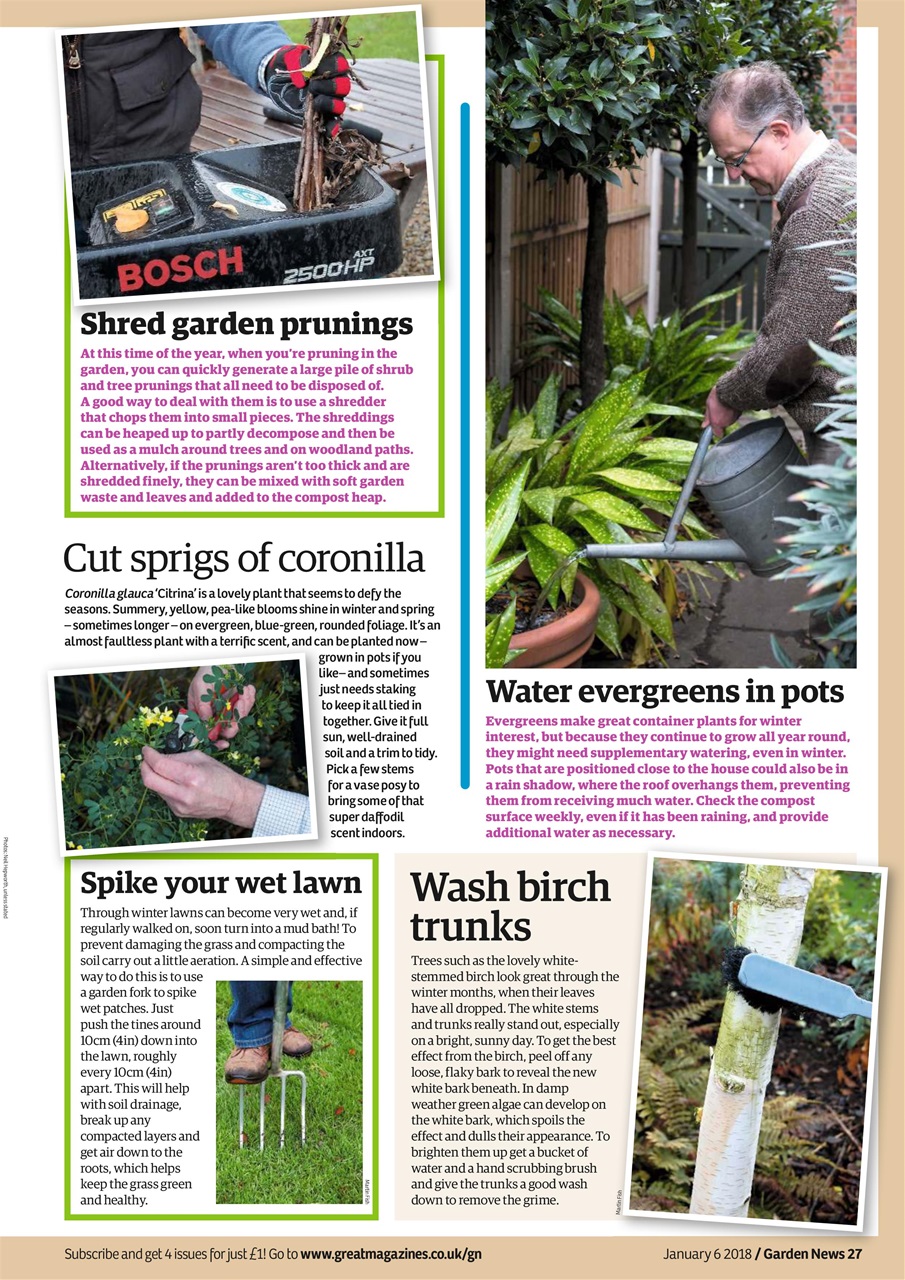 Garden News Preview Pages