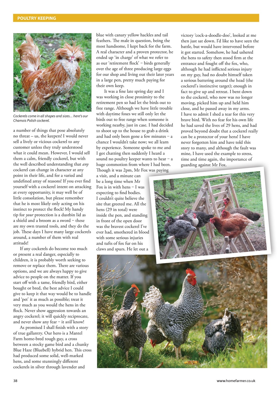 Home Farmer Magazine Preview Pages