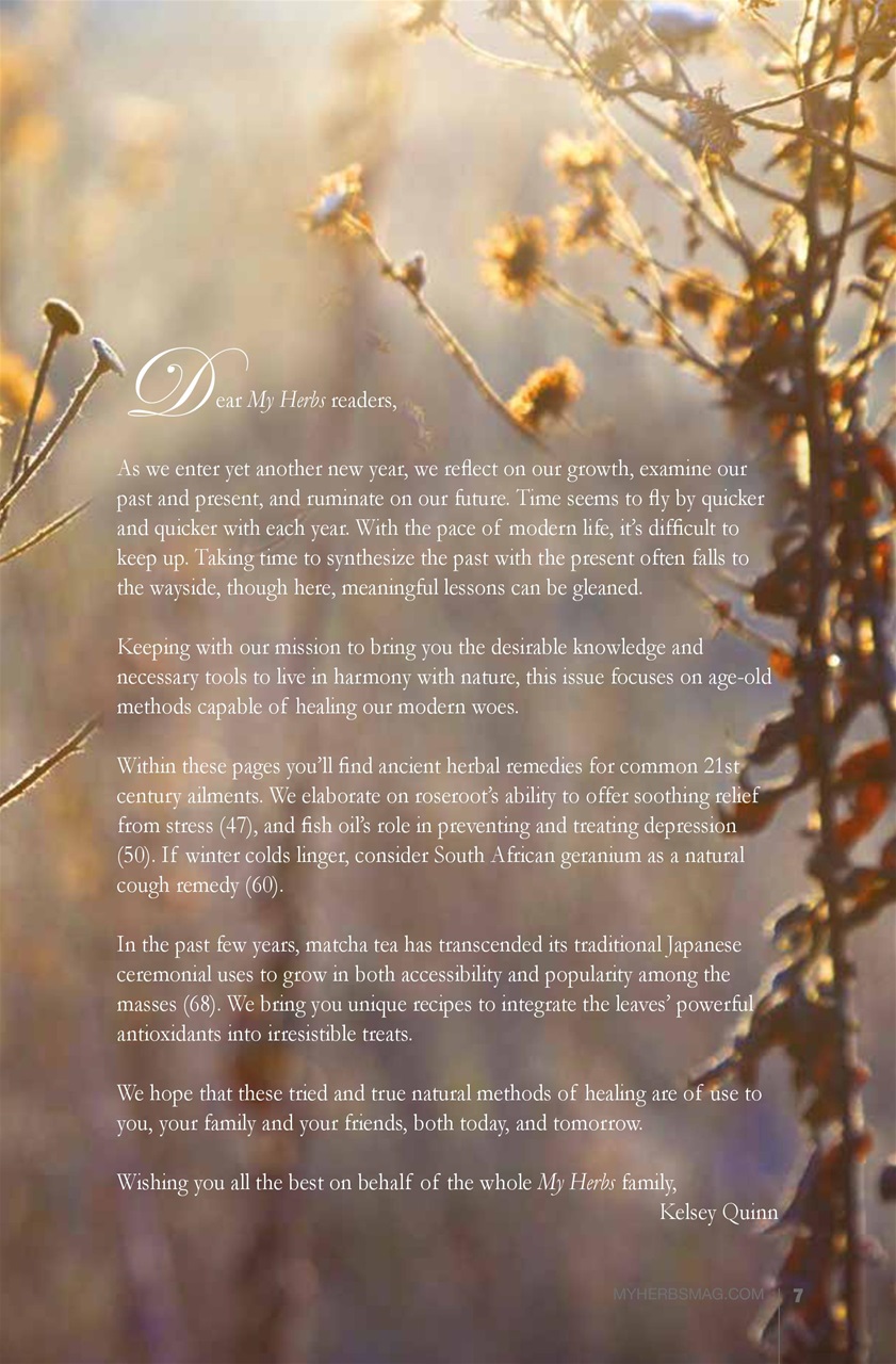 My Herbs Magazine Preview Pages