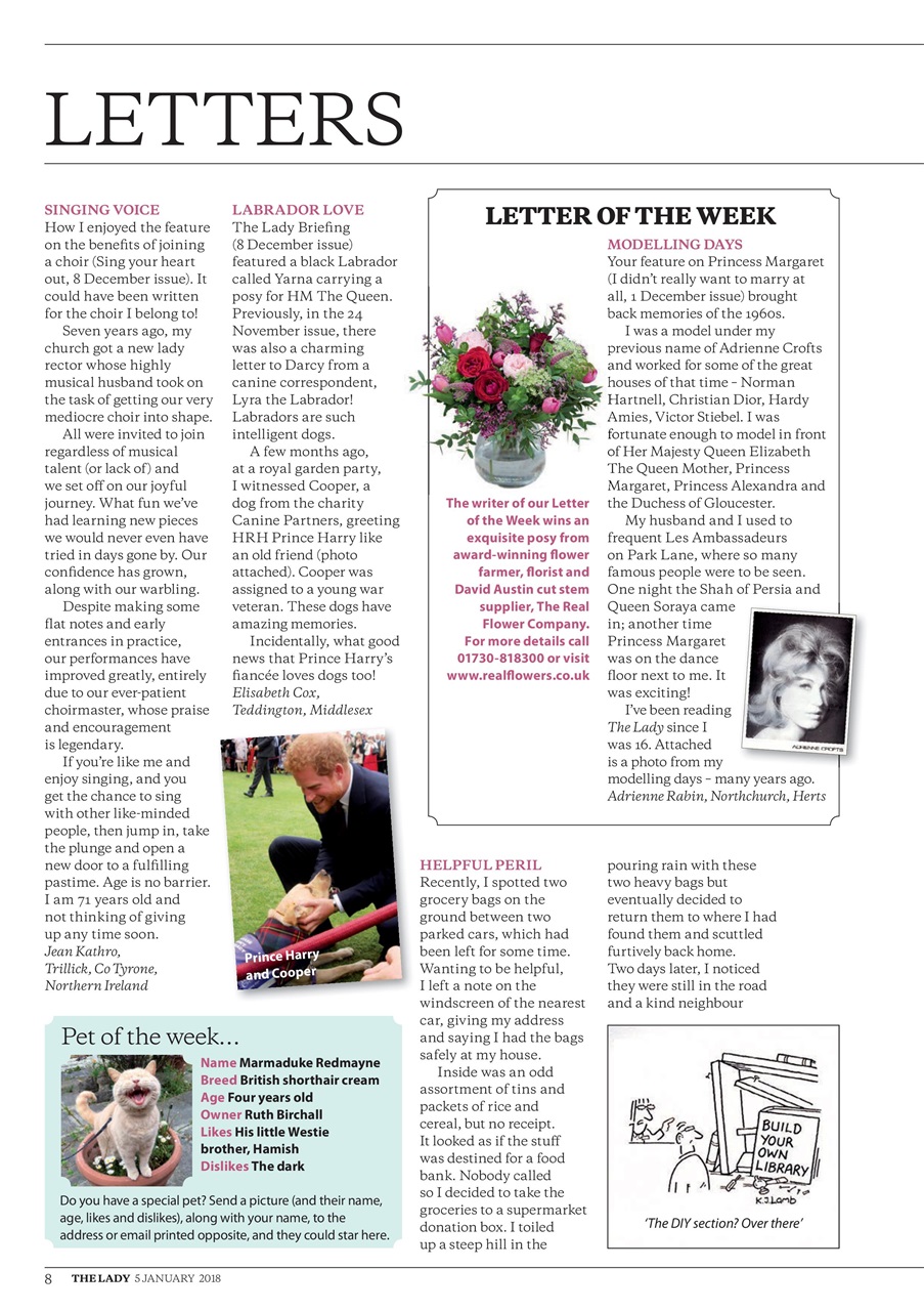 The Lady Preview Pages