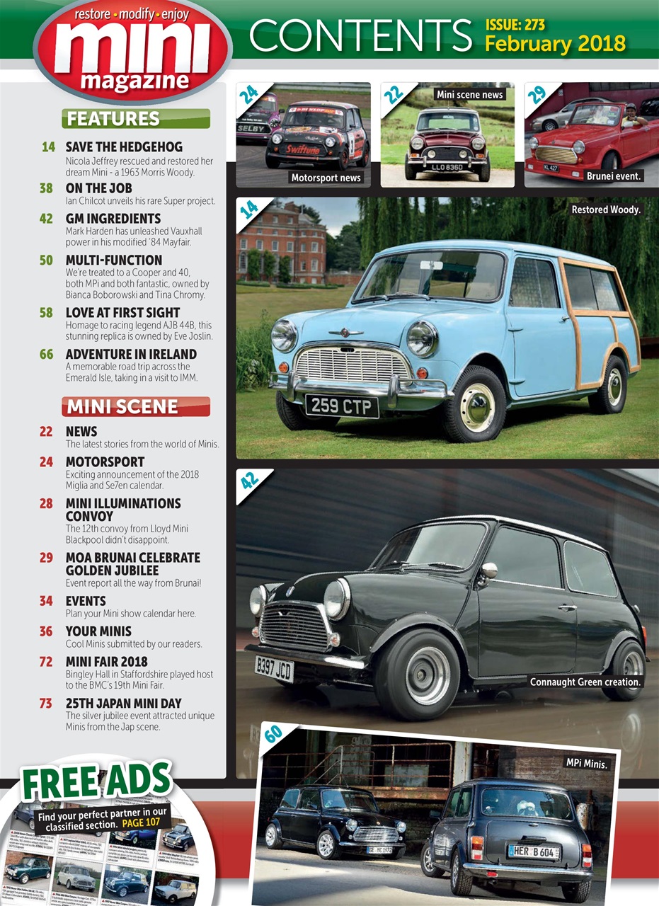 Mini Magazine Preview Pages