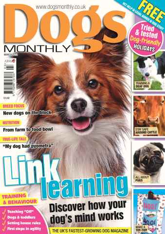 Dogs Monthly issue Dogs Monthly March 2012