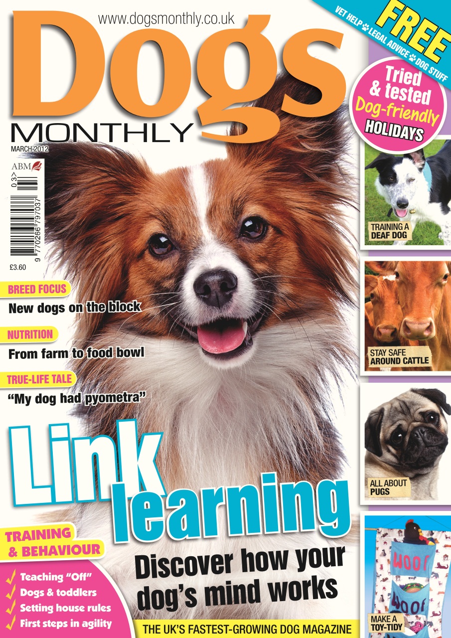 Dogs Monthly Preview Pages