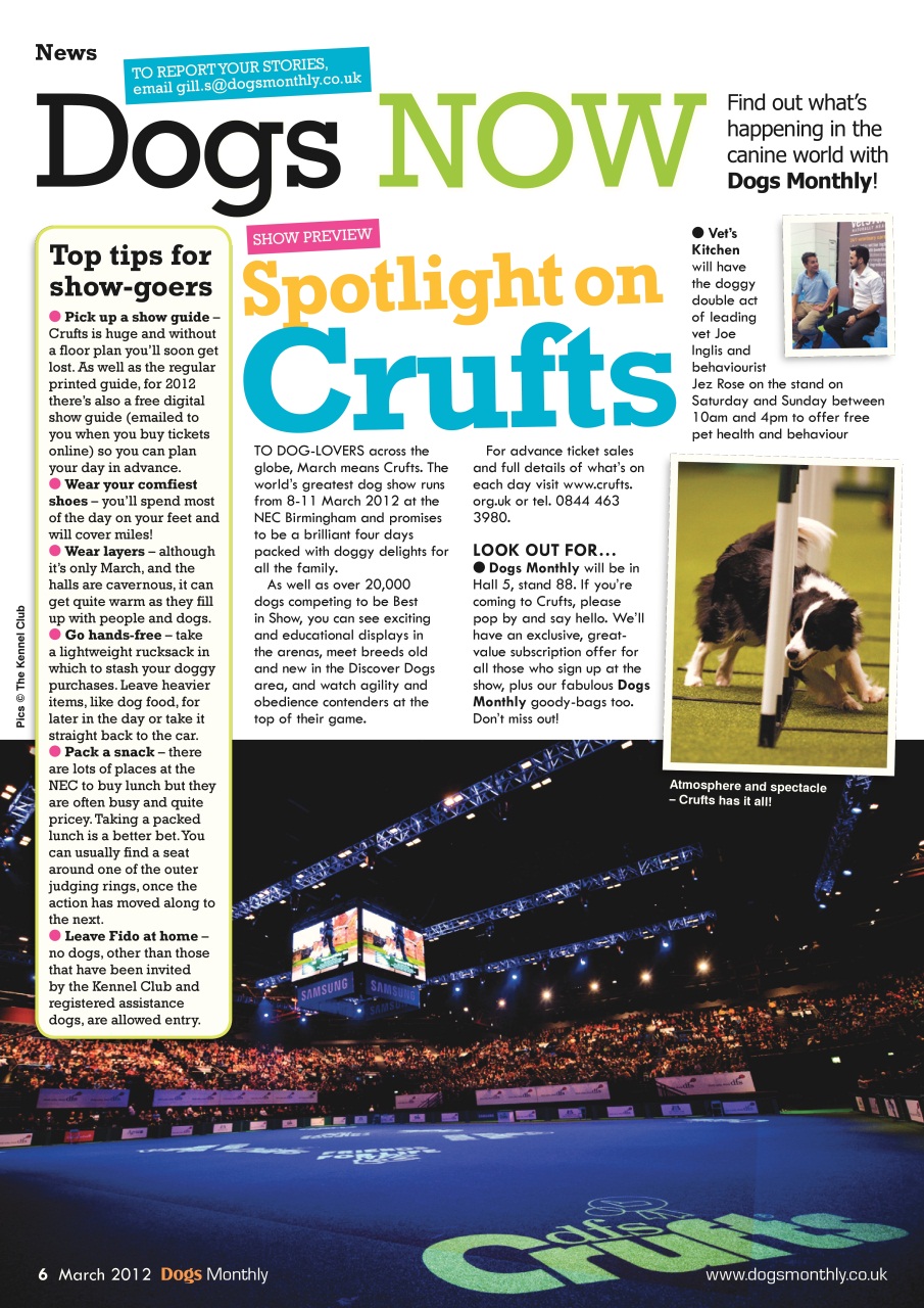 Dogs Monthly Preview Pages