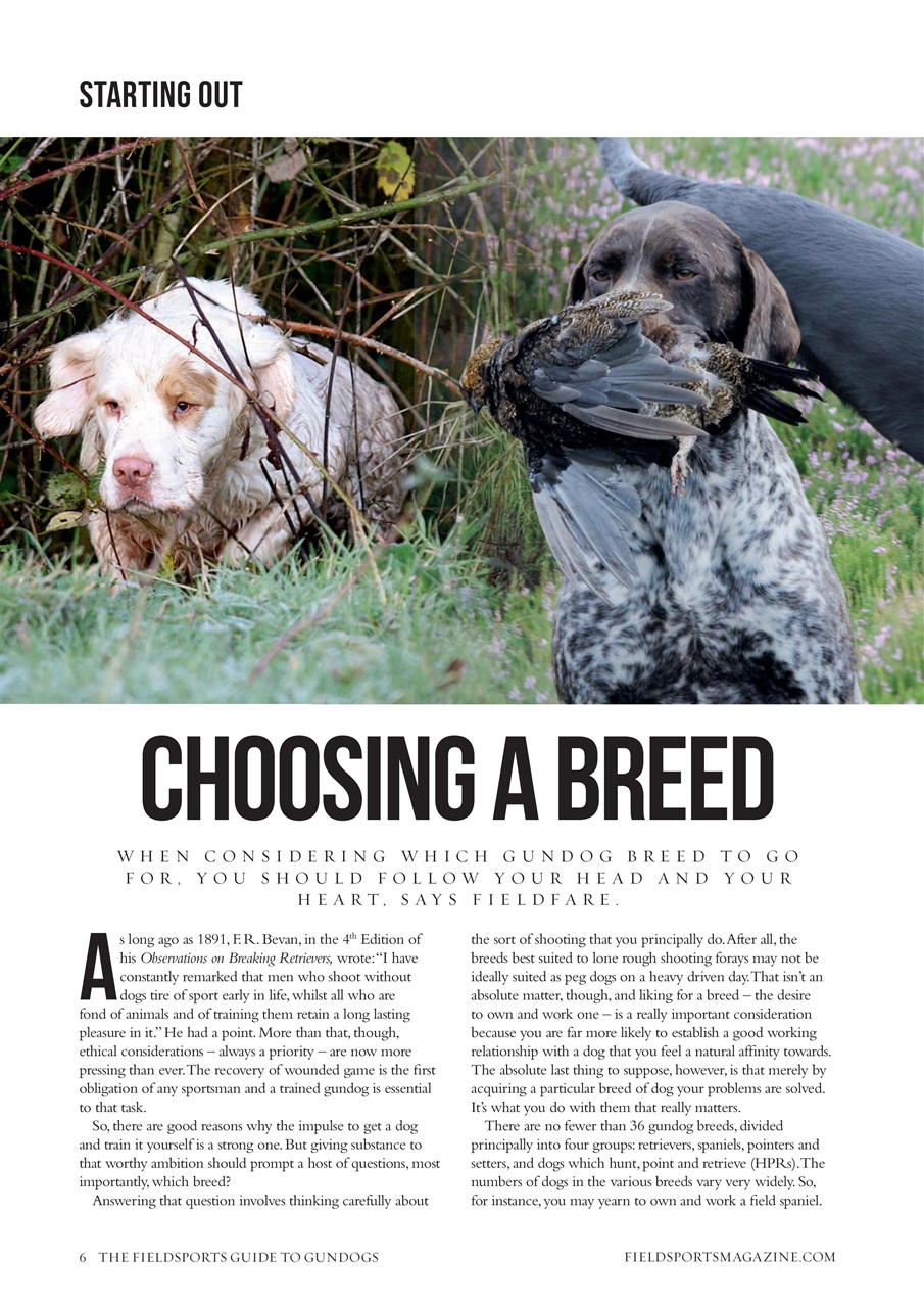 Fieldsports Journal Preview Pages