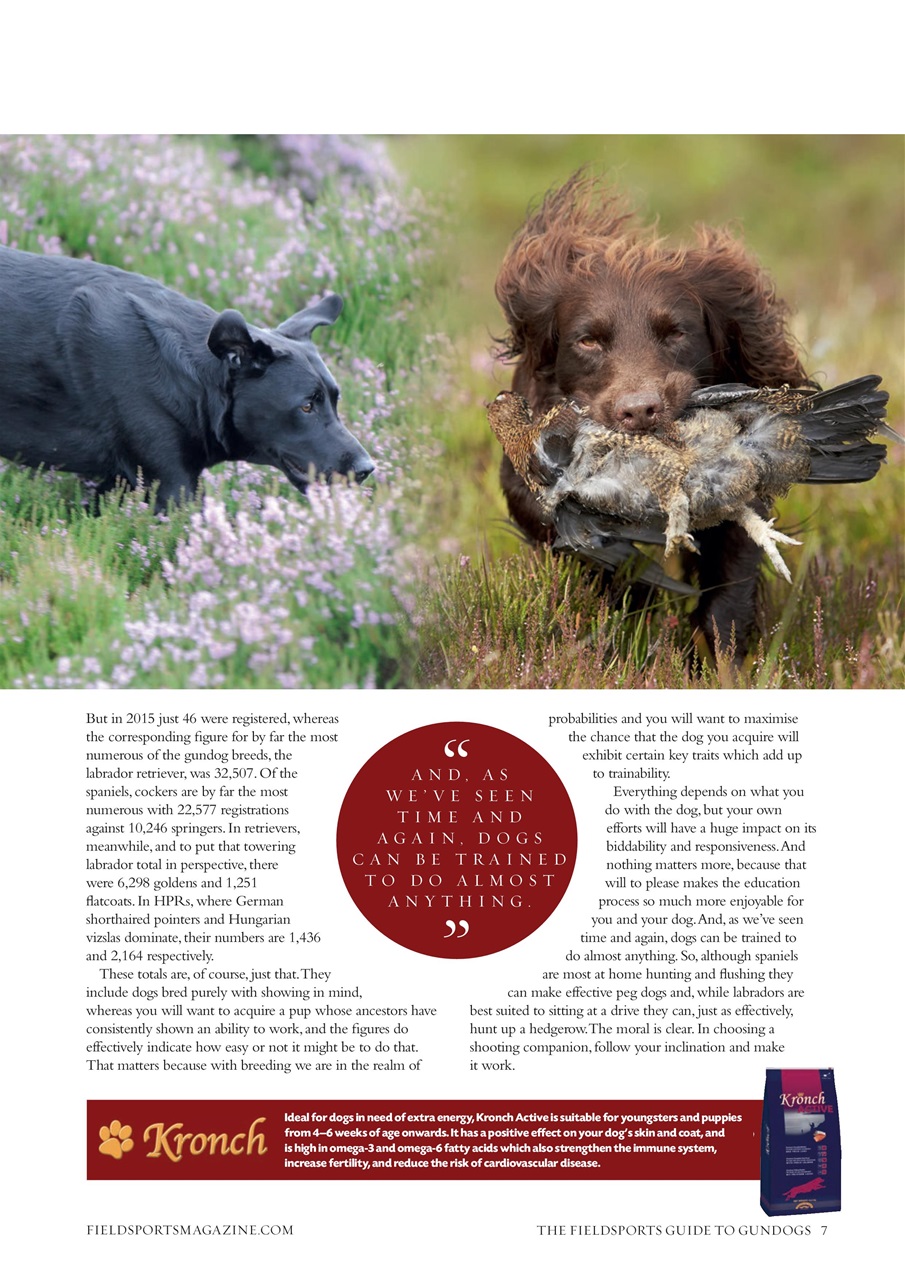 Fieldsports Journal Preview Pages