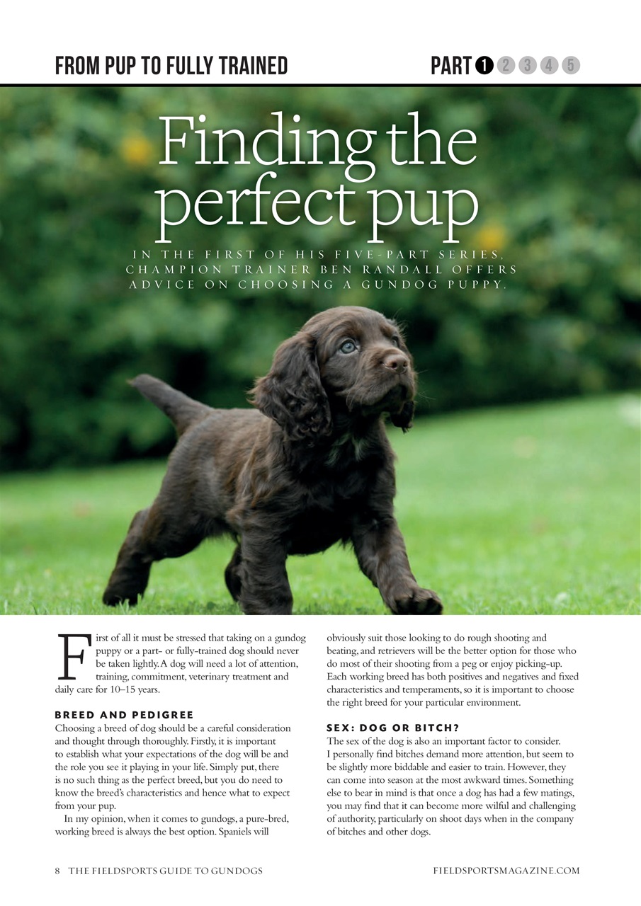 Fieldsports Journal Preview Pages