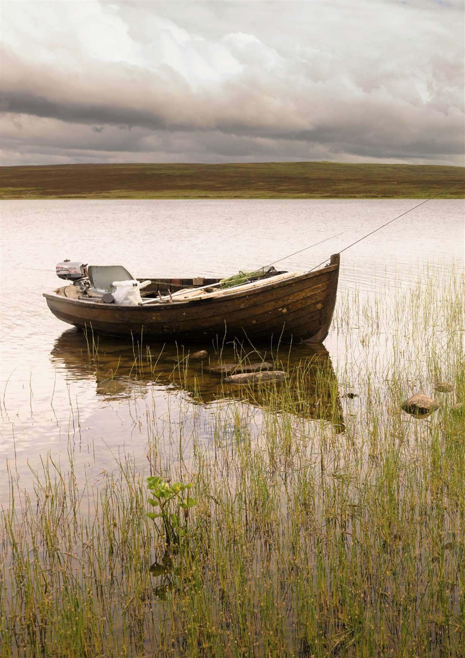 Trout & Salmon Preview Pages