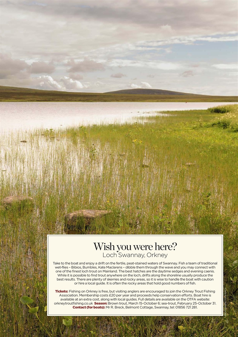 Trout & Salmon Preview Pages