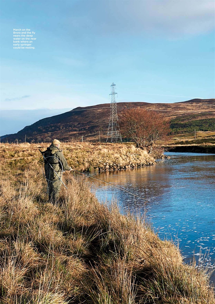 Trout & Salmon Preview Pages