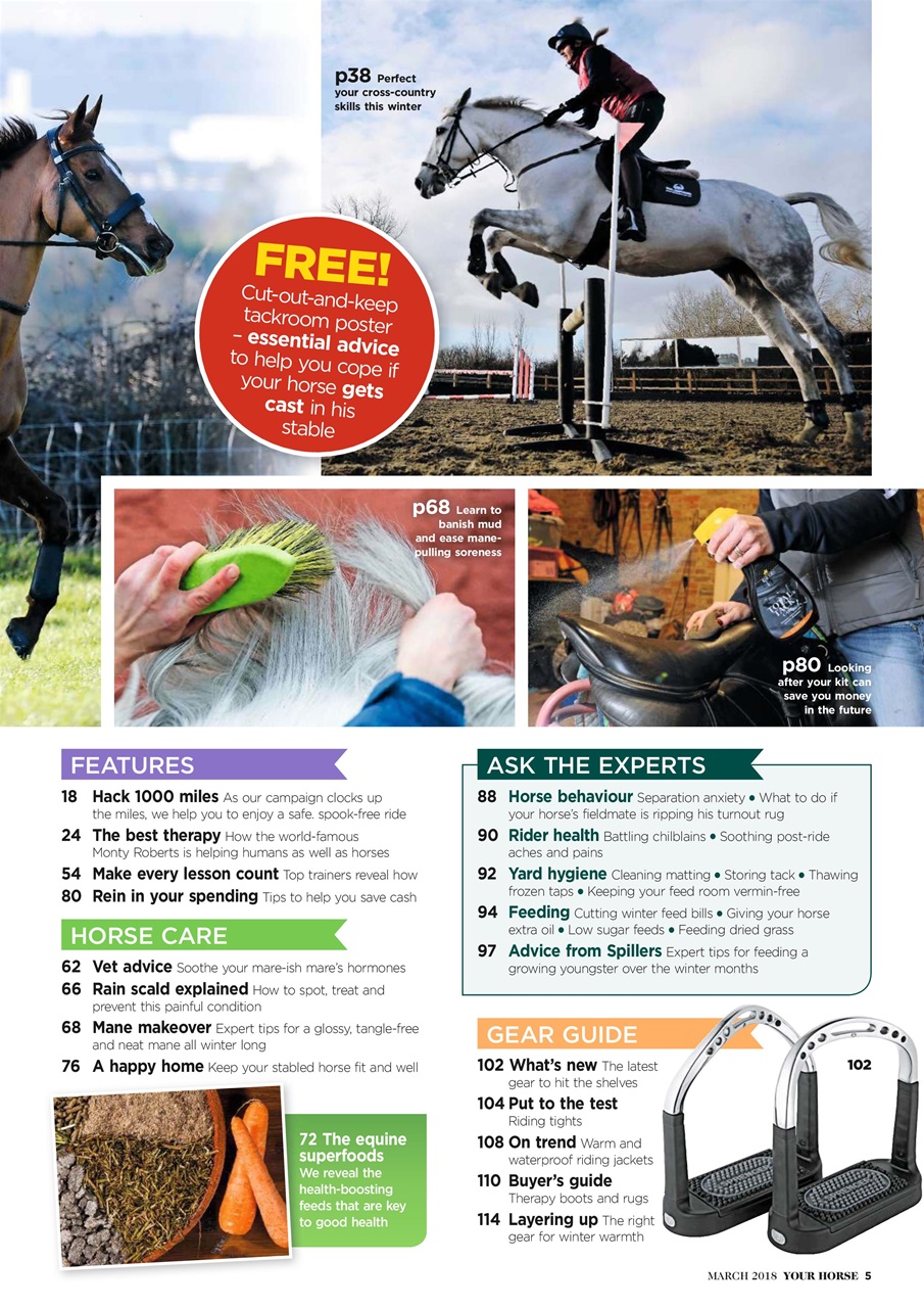 Your Horse Preview Pages