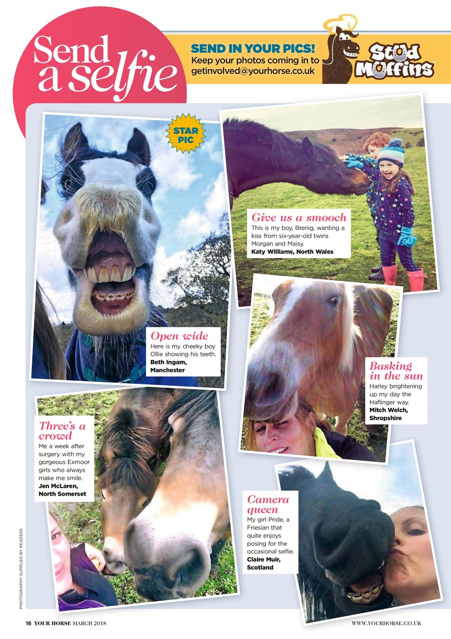 Your Horse Preview Pages