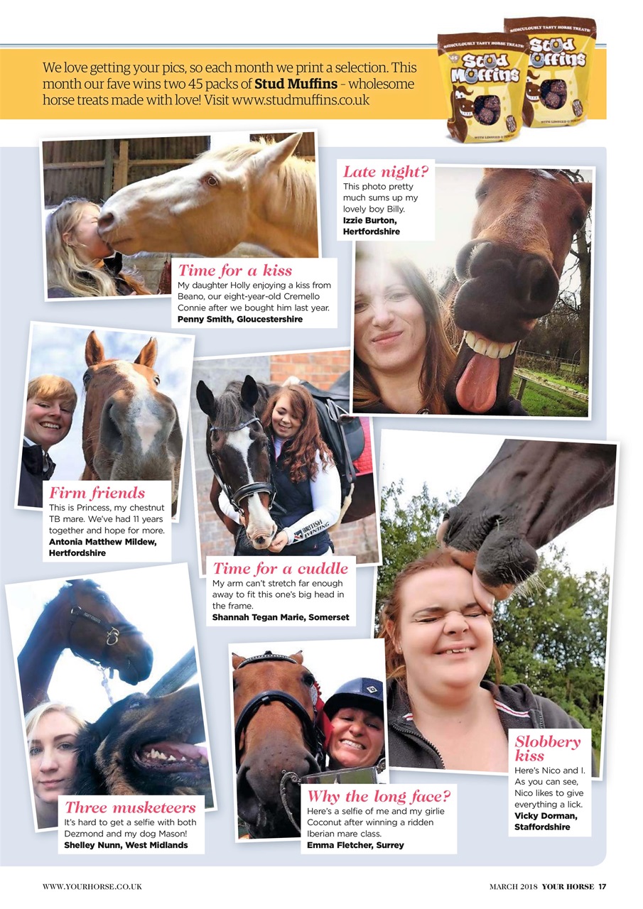 Your Horse Preview Pages