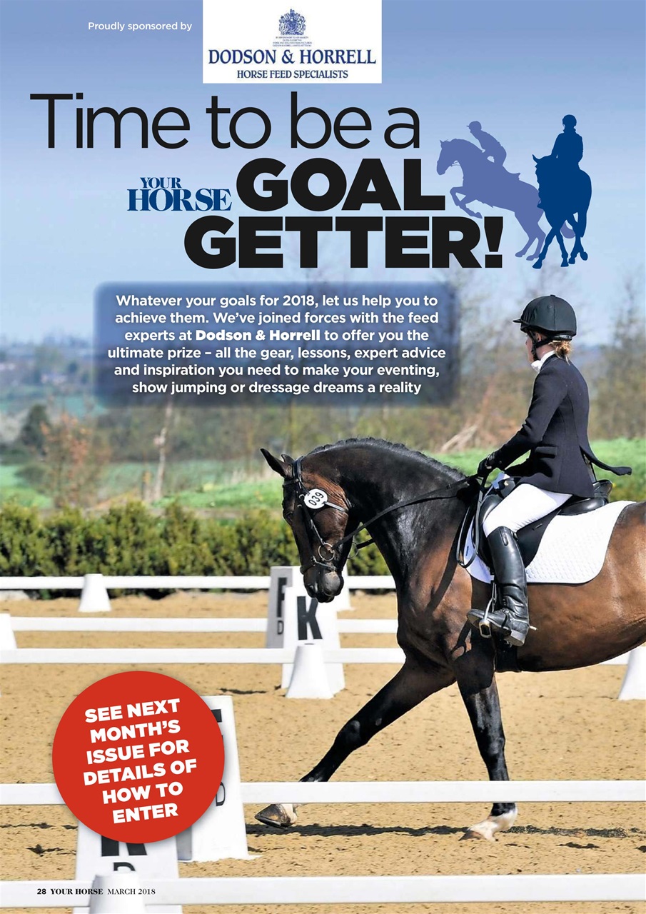 Your Horse Preview Pages