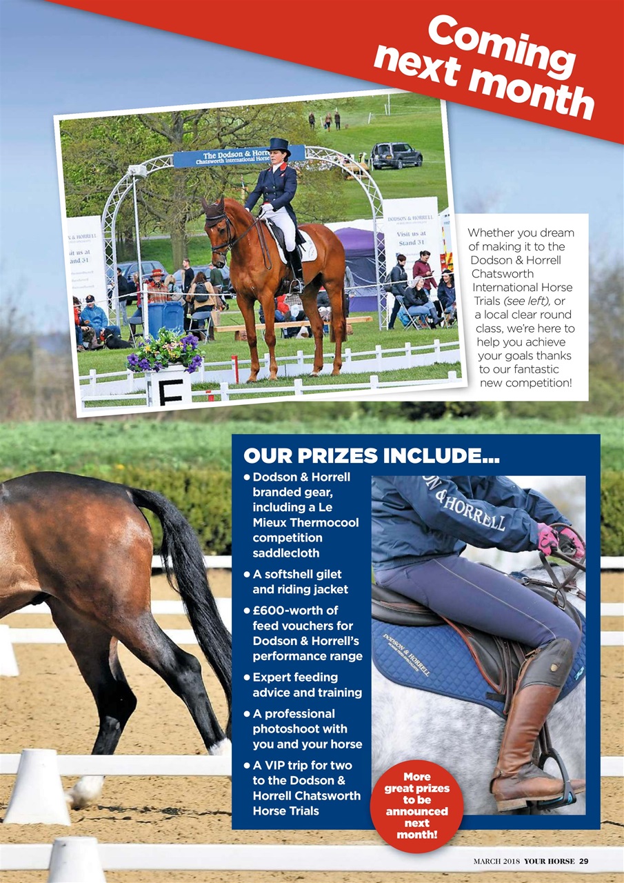 Your Horse Preview Pages